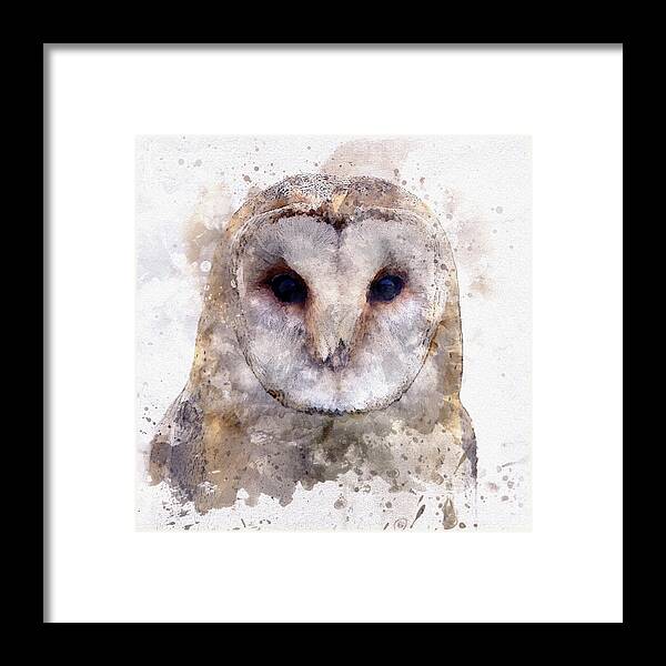 Barn Owl In Watercolor Framed Print featuring the digital art Barn Owl in Watercolor by Susan Maxwell Schmidt