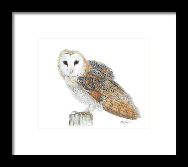 Barn Owl Framed Print featuring the painting Barn Owl Neighbor by Sue Betanzos