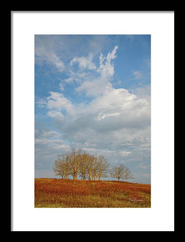 Big Meadows Framed Print featuring the photograph Barren Trees Big Meadows #1205 by Dan Beauvais