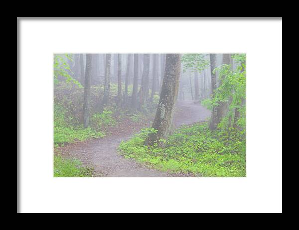 Art Prints Framed Print featuring the photograph Baskins Creek Trail by Nunweiler Photography
