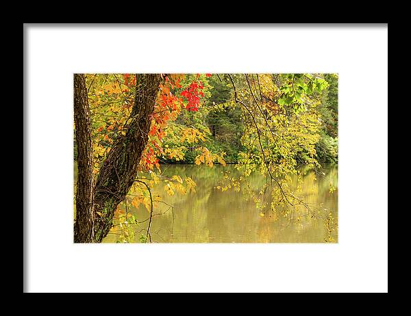 Bass Pond Framed Print featuring the photograph Bass Pond Biltmore Estate by Rob Hemphill