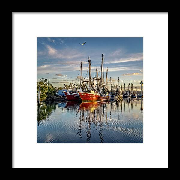 Bayou Framed Print featuring the photograph Bayou Morning 2, 12/23/20 by Brad Boland
