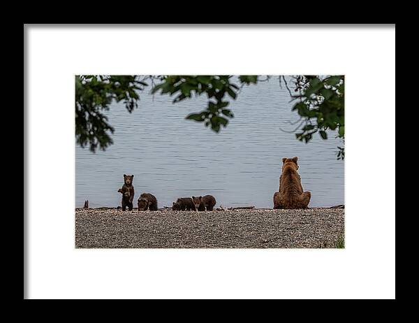 Bear Framed Print featuring the photograph Beach Day by Randy Robbins