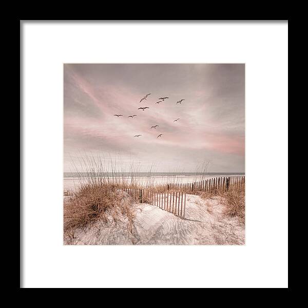 Dune Framed Print featuring the photograph Beach Fences on the Cottage Sand Dunes in Square by Debra and Dave Vanderlaan