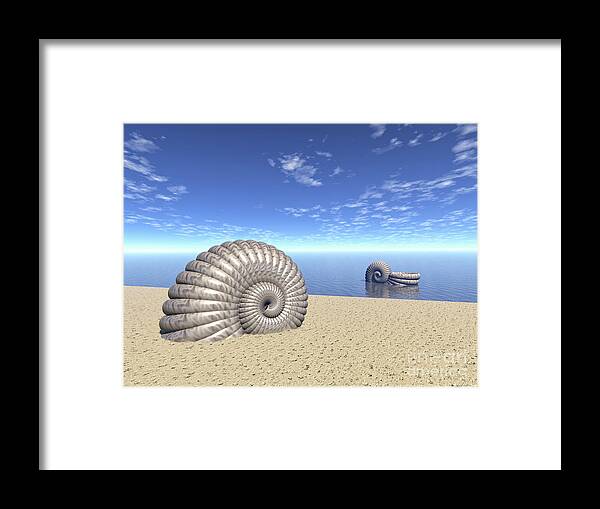 Ancient Framed Print featuring the digital art Beach of Shells by Phil Perkins