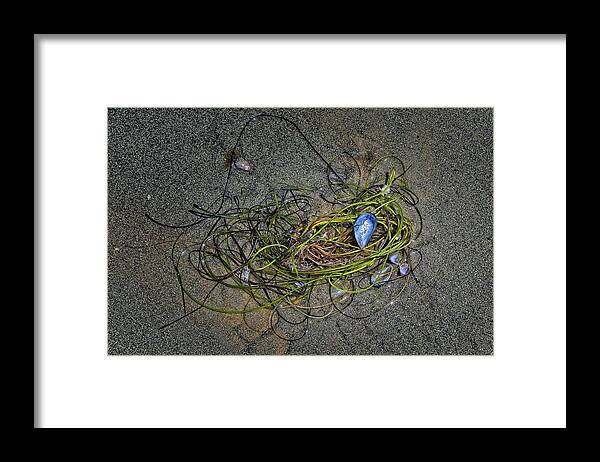 Marine Framed Print featuring the photograph Beach Still Life #1 by Loren Gilbert