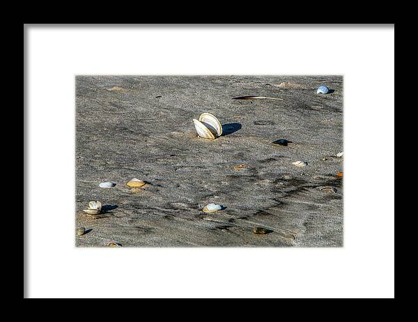 Sand Framed Print featuring the photograph Beach Things by Cathy Kovarik