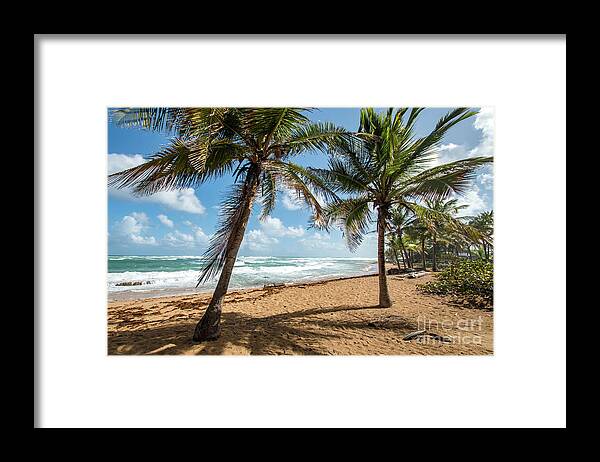 Piñones Framed Print featuring the photograph Beach Waves and Palm Trees, Pinones, Puerto Rico by Beachtown Views