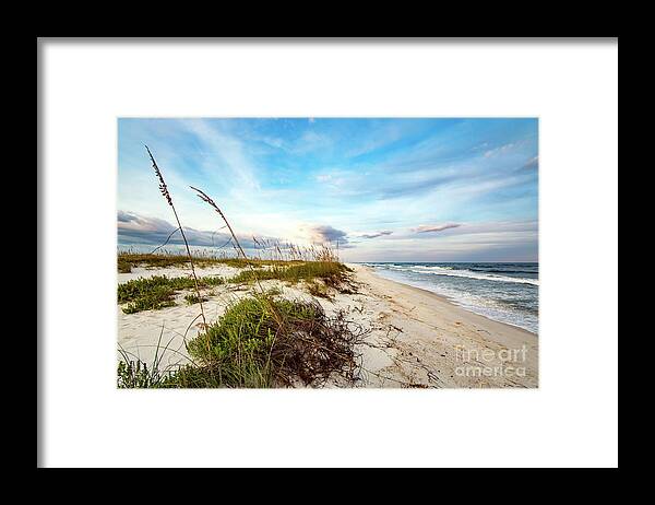 Dunes Framed Print featuring the photograph Beachside Sand Dunes by Beachtown Views