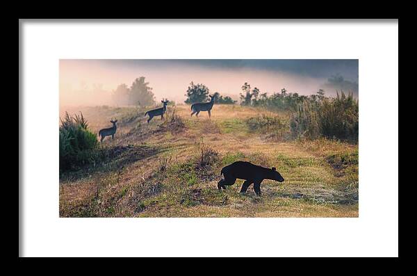 Bear Framed Print featuring the photograph Bear and Three Deer #8547 by Dan Beauvais