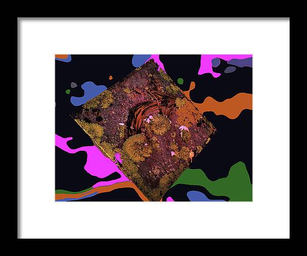 Popart Framed Print featuring the photograph Bear Right to the 60s by Wayne King