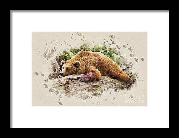 Bear Framed Print featuring the painting Bearly There by Denise Dundon