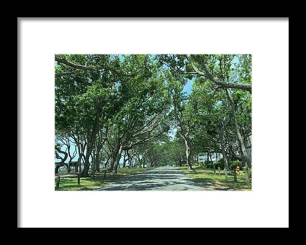 Trees Framed Print featuring the photograph Beaufort Streets by Lee Darnell