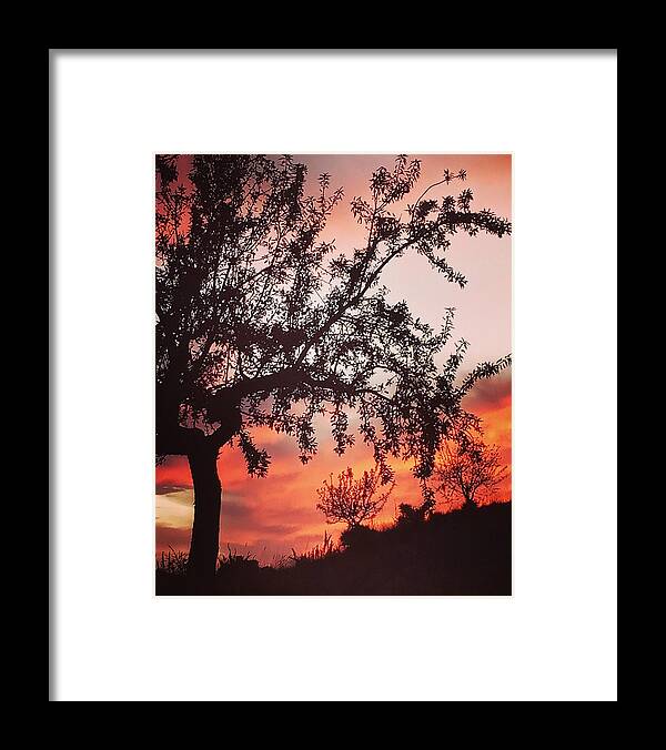 Colette Framed Print featuring the photograph Beautiful evening in Spain by Colette V Hera Guggenheim