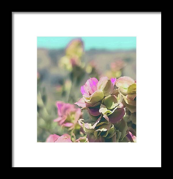 Desert Framed Print featuring the pyrography Beautiful Grayia Spinosa by Lisa Kaiser