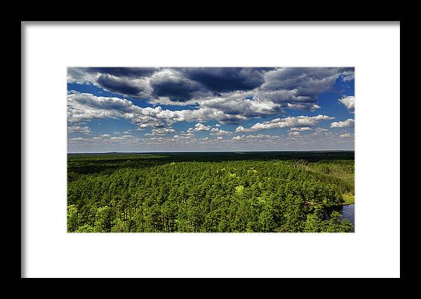Franklin Parker Preserve Framed Print featuring the photograph Beautiful Pine Barrens Landscape by Louis Dallara