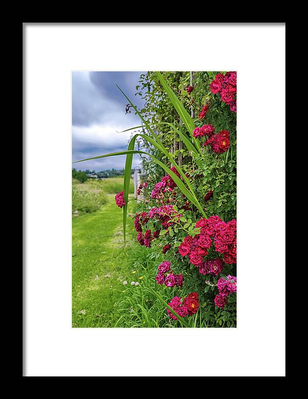 Alex Lyubar Framed Print featuring the photograph Beautiful Spring Flowers by Alex Lyubar