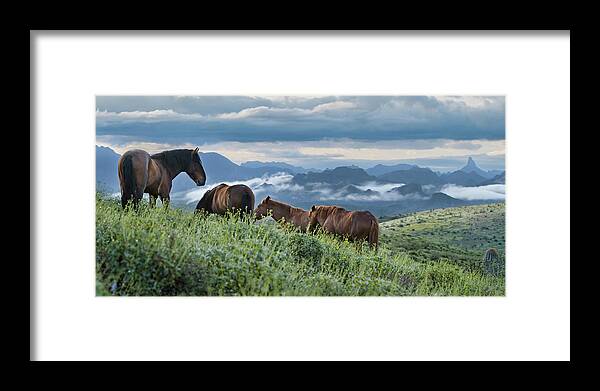 Stallion Framed Print featuring the photograph Beautiful Vista. by Paul Martin