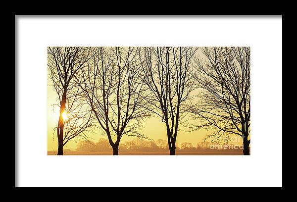Sunset Framed Print featuring the photograph Beautiful winter sunset though bare trees in Norfolk by Simon Bratt