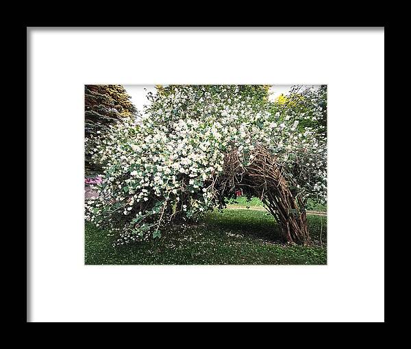 Beauty In Nature Framed Print featuring the photograph beauty in Nature by Harsh Malik