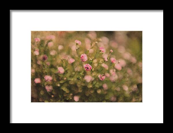  Framed Print featuring the photograph Beauty in the garden by Yasmina Baggili