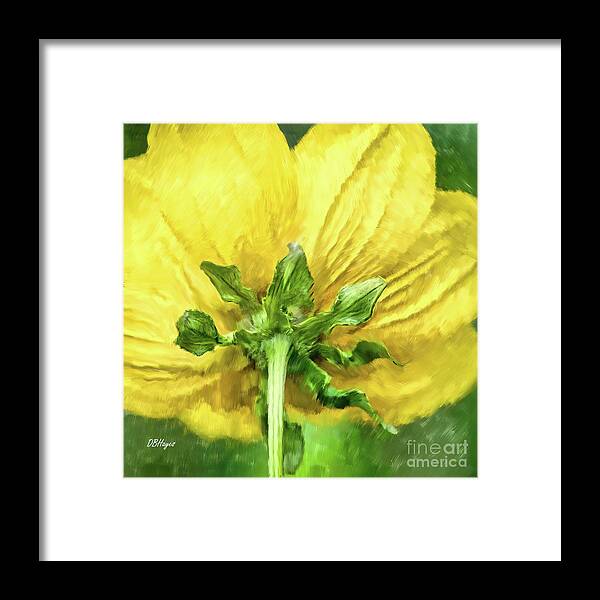 Flowers Framed Print featuring the mixed media Beauty Of The Rear by DB Hayes