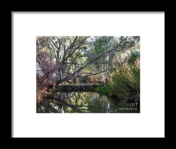 Beaver Framed Print featuring the photograph Beaver Dam by Al Andersen