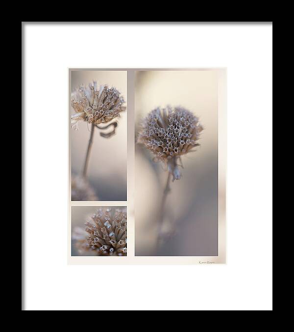 Taupe Framed Print featuring the photograph Bee Balm by Karen Rispin