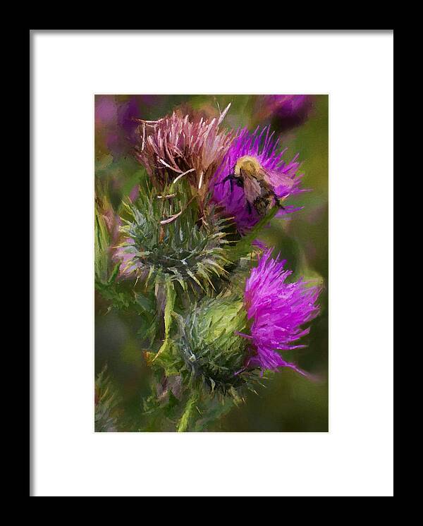 Nature Framed Print featuring the digital art Bee on a Thistle Flower by Charmaine Zoe