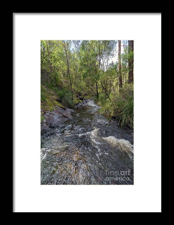 Pemberton Framed Print featuring the photograph Beedelup Falls, Pemberton, Western Australia by Elaine Teague