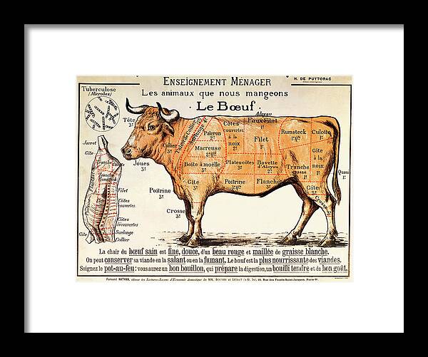 Le Boeuf; Cow; Cut; Joint; Food; Animal; Butchering Framed Print featuring the drawing Beef by French School