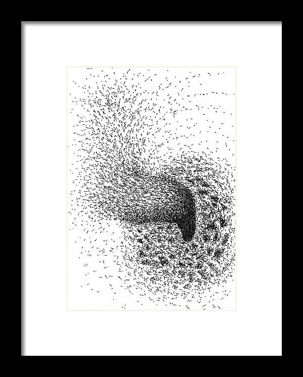 Bees Framed Print featuring the drawing Bees Buzzing by Franci Hepburn