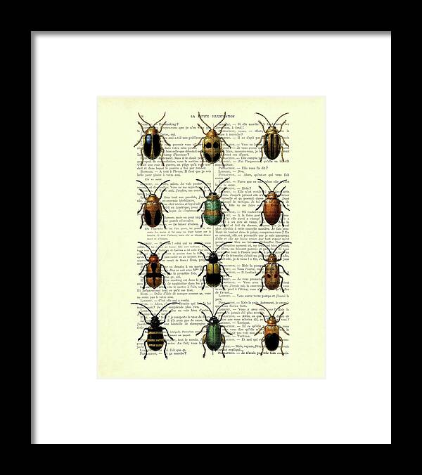 Beetle Framed Print featuring the digital art Beetle collection on antique French book page by Madame Memento