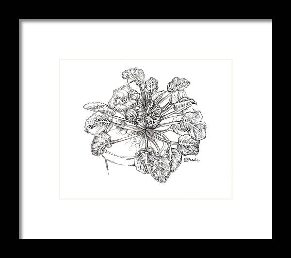 African Violet Framed Print featuring the drawing Before I Was Free by Catherine Bede
