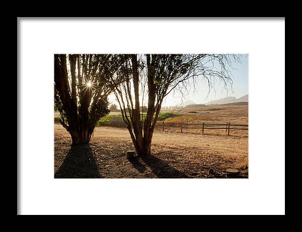 Sunset Framed Print featuring the photograph Before Sunset by Gina Cinardo