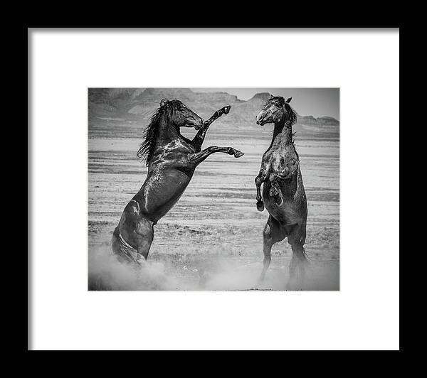 Wild Horses Framed Print featuring the photograph Being Wild by Mary Hone