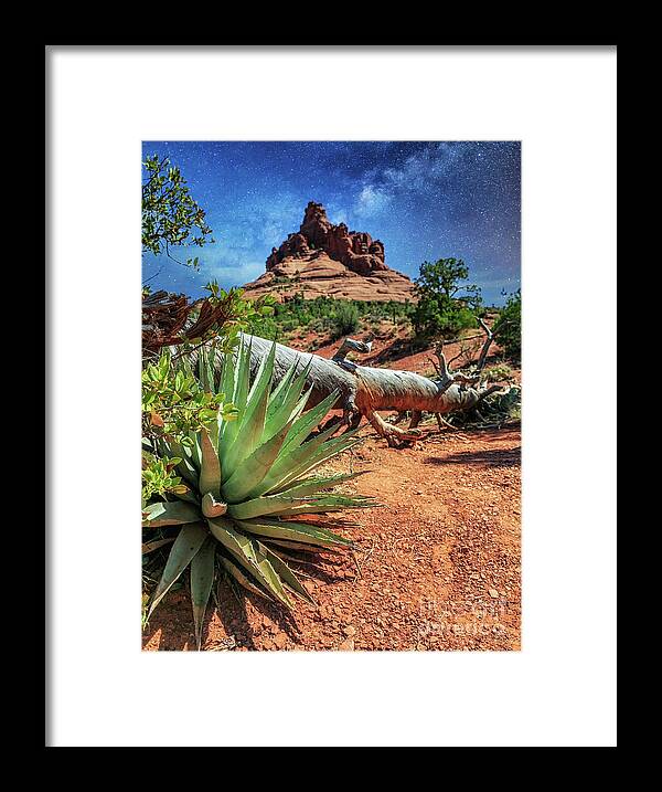 Red Rock Canyon Framed Print featuring the photograph Bell Rock Sedona by Lev Kaytsner