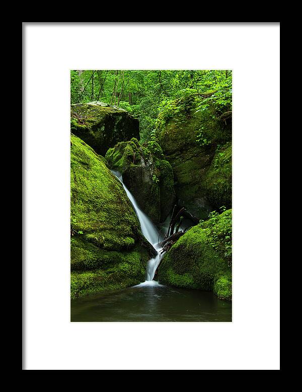 Great Smoky Mountains National Park Framed Print featuring the photograph Below 1000 Drips 1 by Melissa Southern