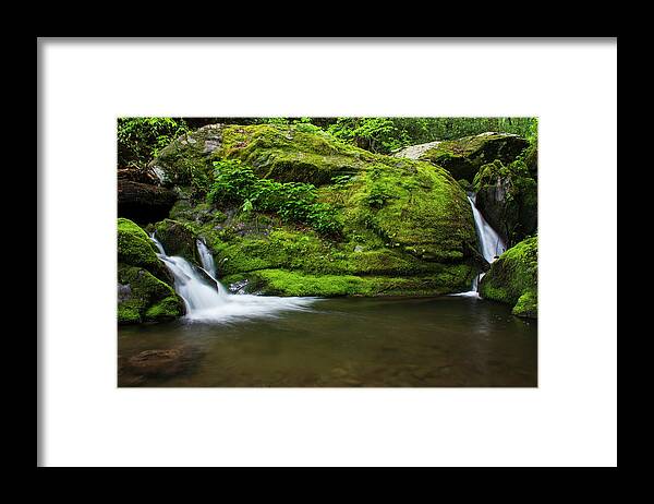 Great Smoky Mountains National Park Framed Print featuring the photograph Below 1000 Drips 2 by Melissa Southern