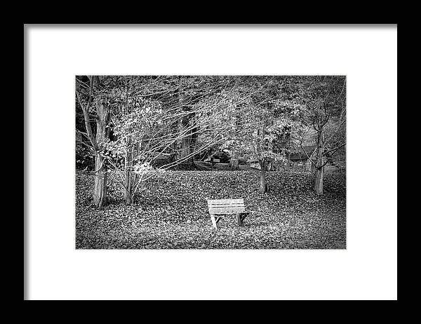 Barns Framed Print featuring the photograph Bench in the Fallen Leaves Creeper Trail in Autumn Fall Black an by Debra and Dave Vanderlaan