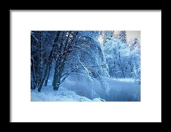 Yosemite River Framed Print featuring the photograph Bending branches by Leslie Struxness