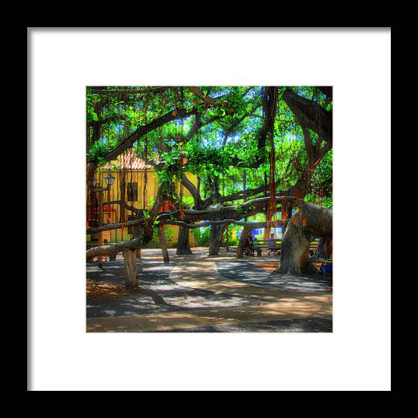 Hawaii Framed Print featuring the photograph Beneath the Banyan Tree by DJ Florek