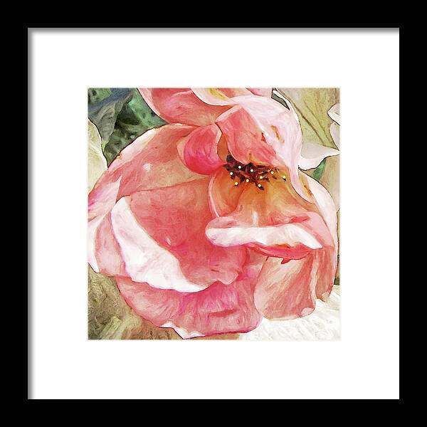 Rose Framed Print featuring the photograph Betty Pryor by Karen Lynch