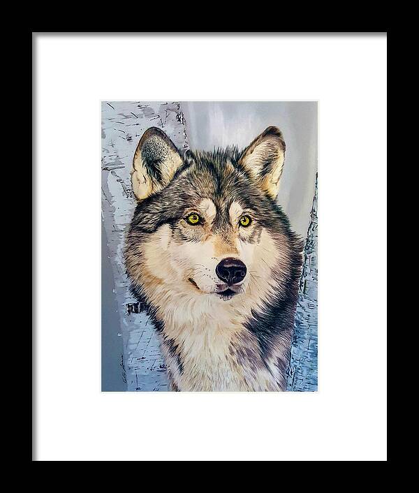 Wolf Framed Print featuring the drawing Between the Birches by Kelly Speros