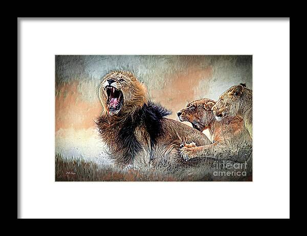 Lions Framed Print featuring the mixed media Bickering Three by DB Hayes