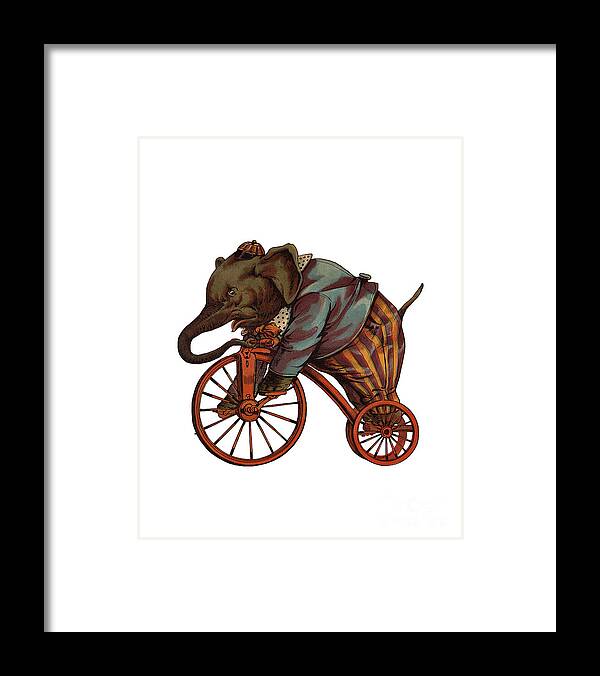 Elephant Framed Print featuring the digital art Bicycle Elephant by Madame Memento