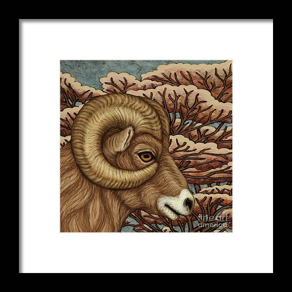 Ram Framed Print featuring the painting Bighorn Grandeur by Amy E Fraser