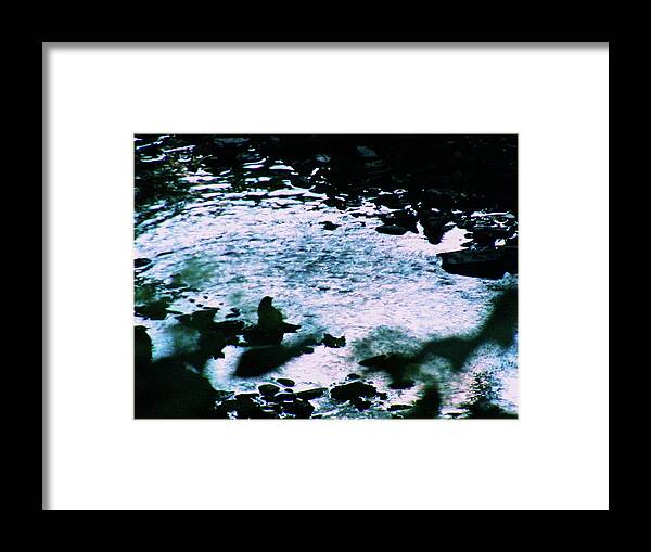 Bird Framed Print featuring the photograph Bird Bathing at Twilight by Christopher Reed