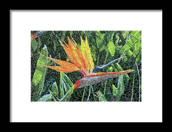 Mosaic Framed Print featuring the mixed media Bird of Paradise by Matthew Lazure