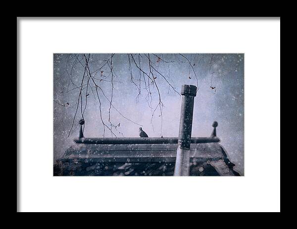 Winter Framed Print featuring the photograph Bird on a Roof Top by Sandra Selle Rodriguez